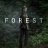 The Forest : 1.Sezon 2.Bölüm izle