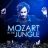 Mozart in the Jungle : 1.Sezon 8.Bölüm izle